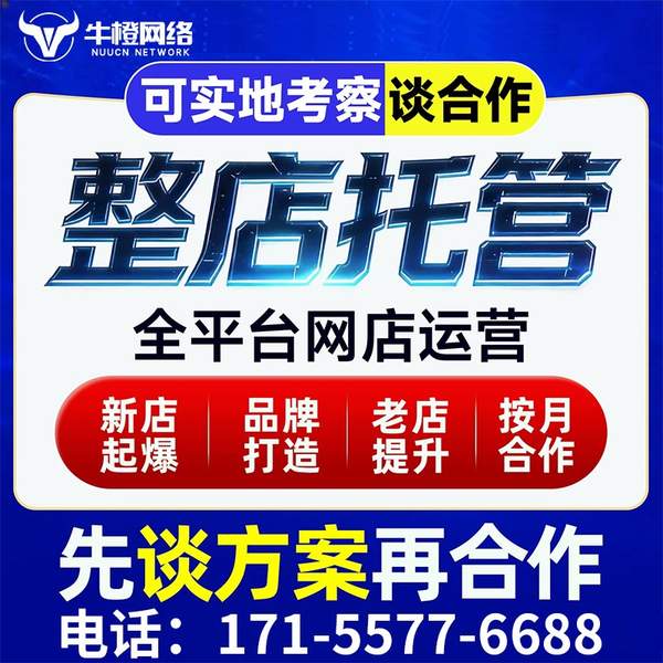 昆山电商代运营